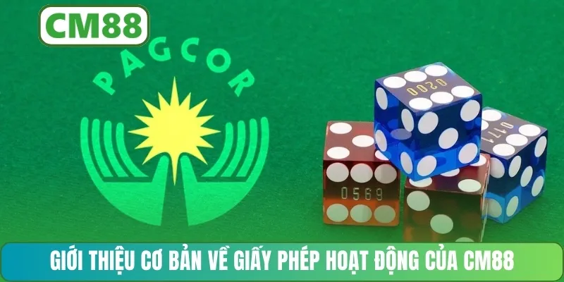 Giới thiệu cơ bản về giấy phép hoạt động của CM88